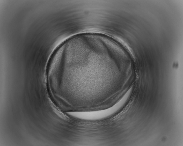 X0000099571372200806061553