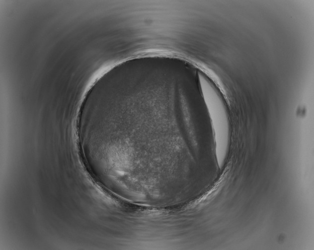 X0000099571373200806061553