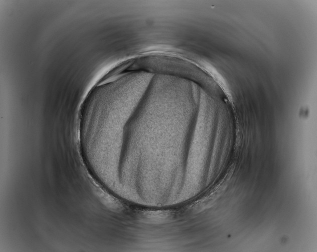 X0000099571376200806061553