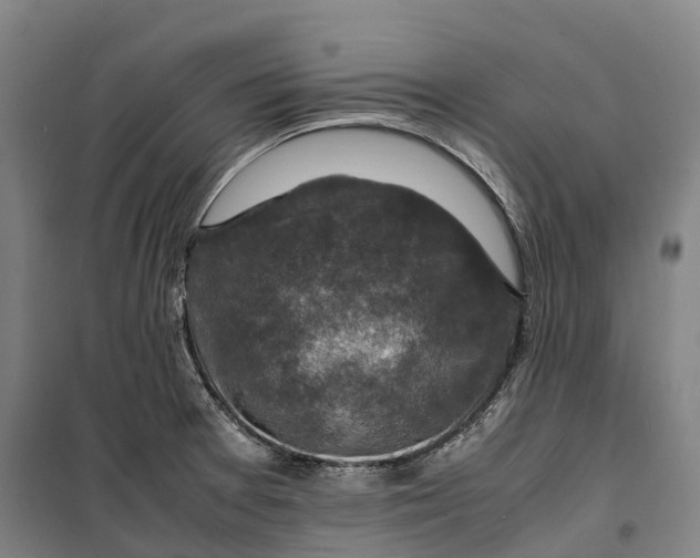 X0000099571377200806061553