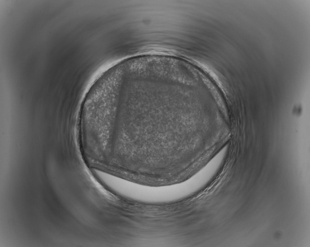 X0000099571379200806061553