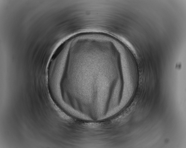 X0000099571380200806061553