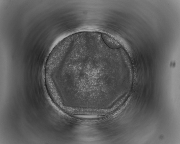 X0000099571382200806061553