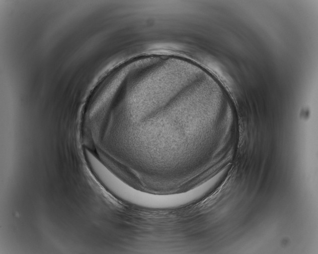 X0000099571384200806061553