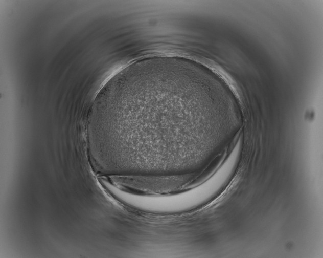 X0000099571385200806061553