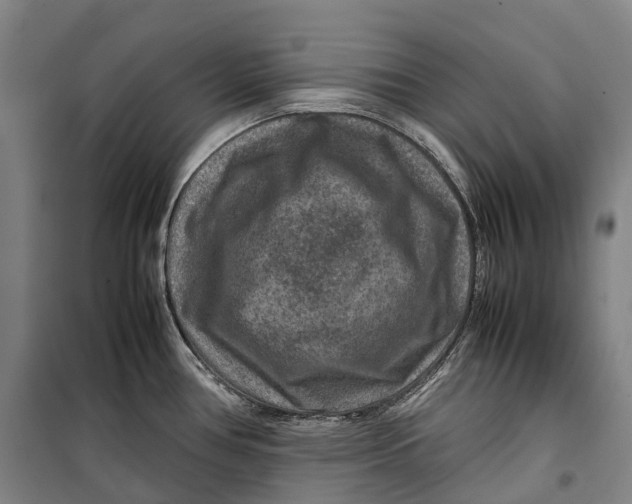 X0000099571386200806061552