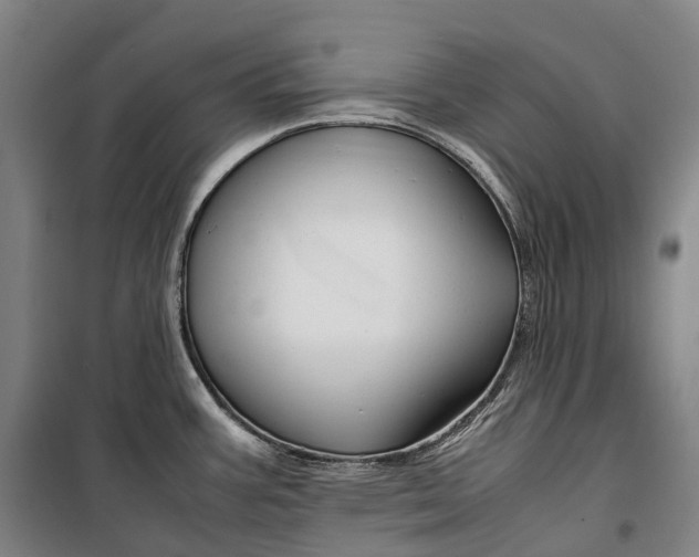 X0000099571387200806061552