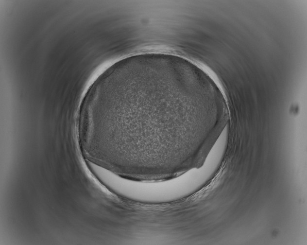 X0000099571389200806061552