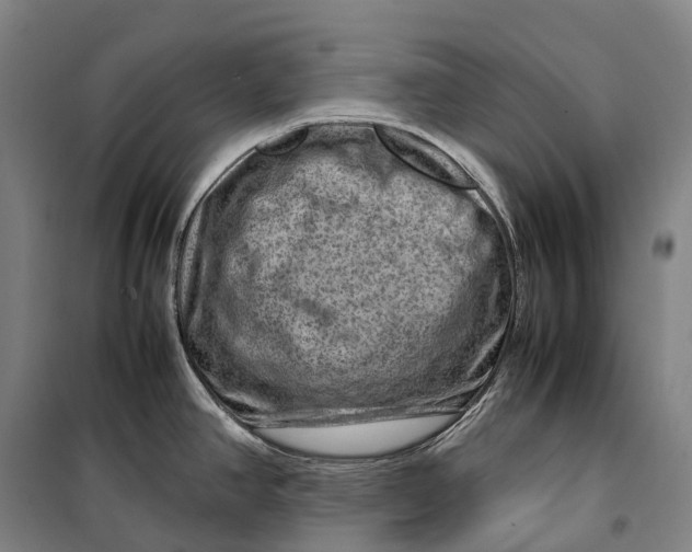 X0000099571390200806061552