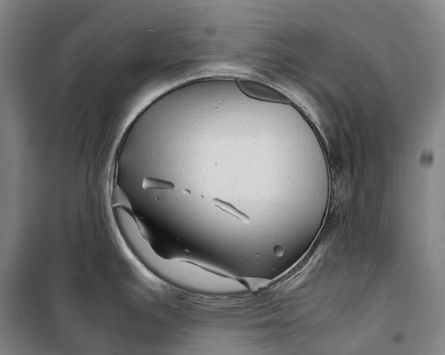 X0000099571391200806061552