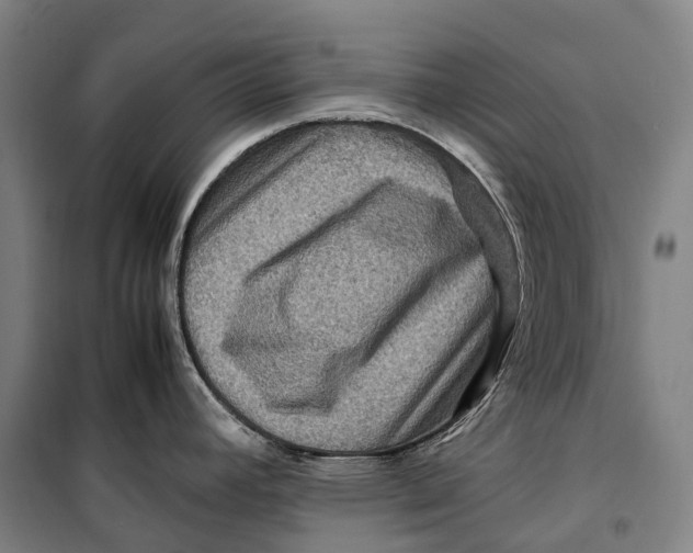 X0000099571392200806061552
