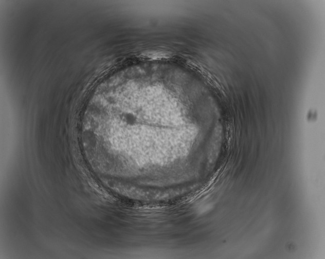 X0000099571393200806061552