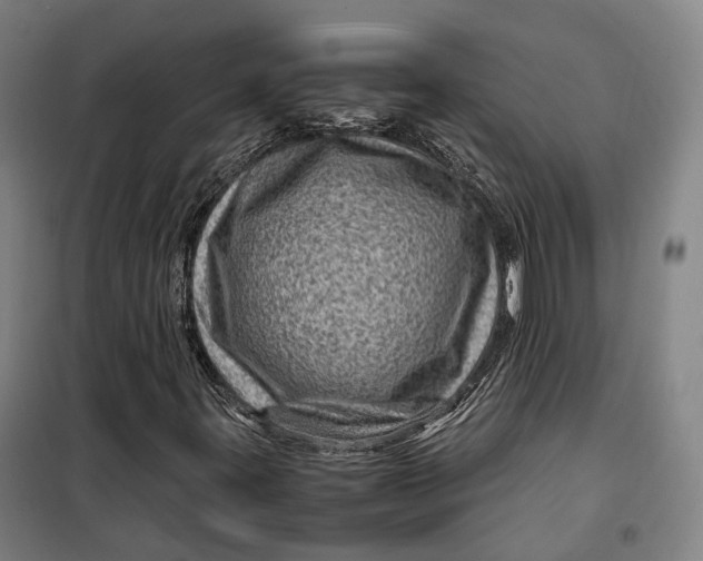 X0000099571395200806061552