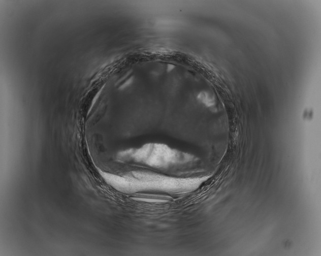X0000099571397200806061552