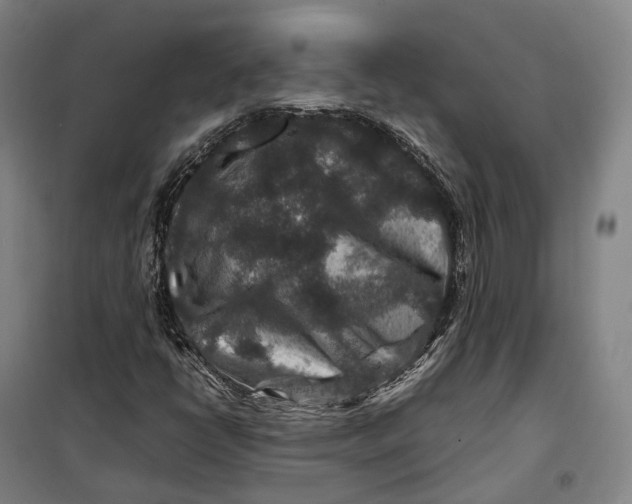 X0000099571398200806061552