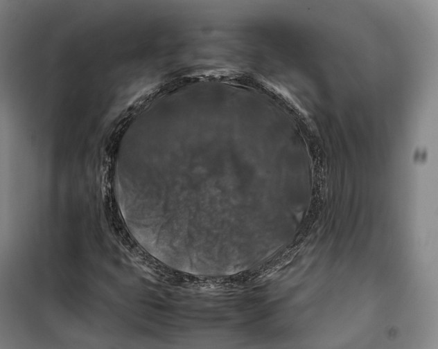 X0000099571399200806061552