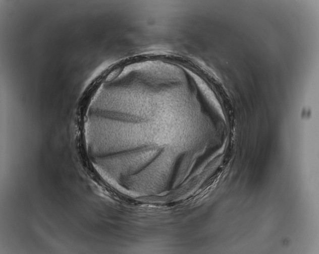 X0000099571400200806061552