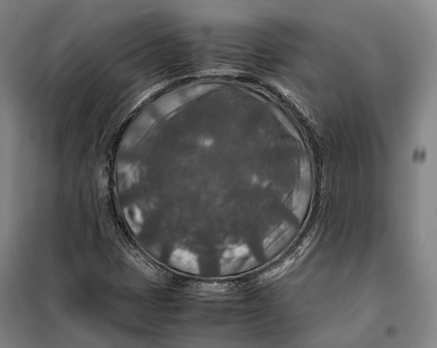 X0000099571401200806061552
