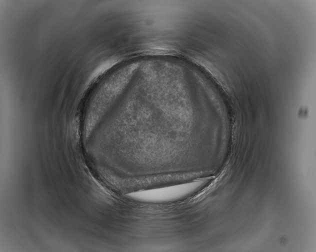 X0000099571402200806061552