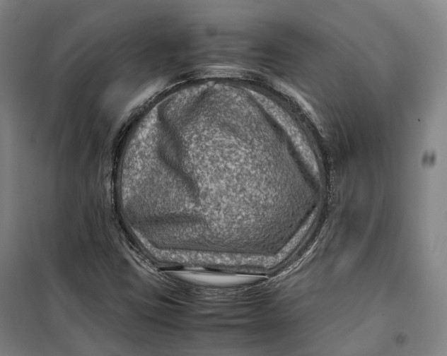 X0000099571403200806061552