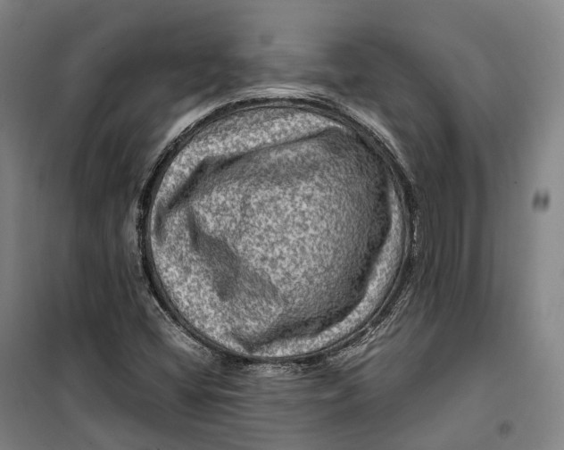 X0000099571404200806061552