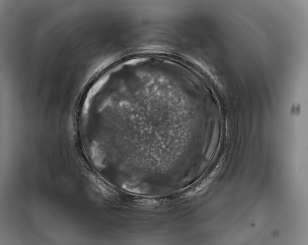 X0000099571405200806061552