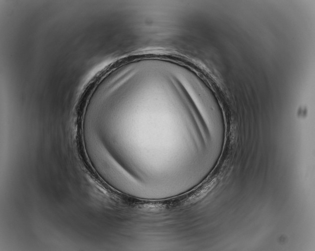 X0000099571406200806061552
