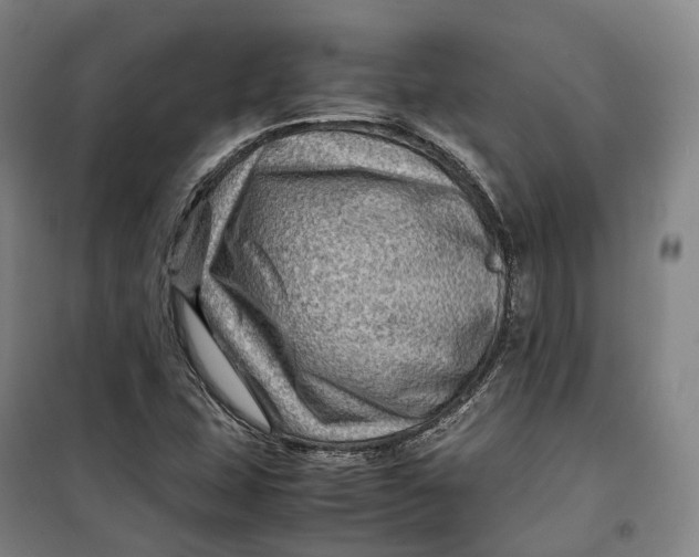X0000099571407200806061552