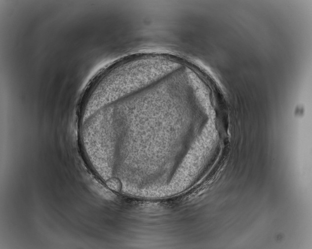X0000099571408200806061552