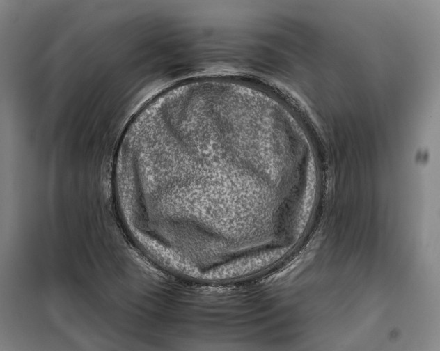 X0000099571409200806061552