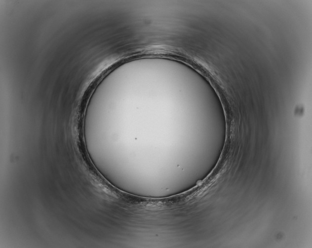 X0000099571410200806061552