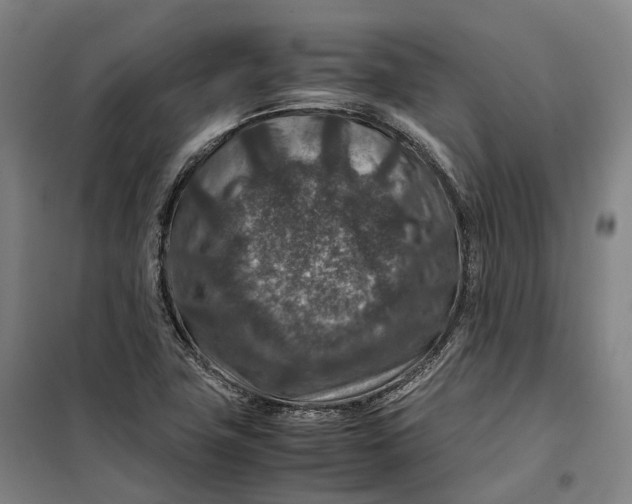 X0000099571411200806061552
