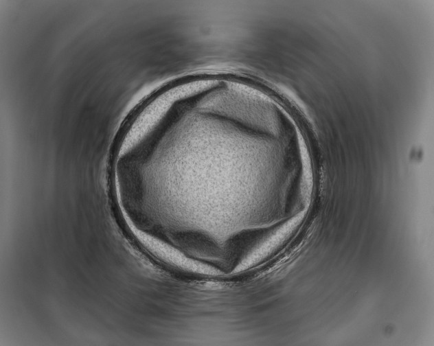 X0000099571412200806061552