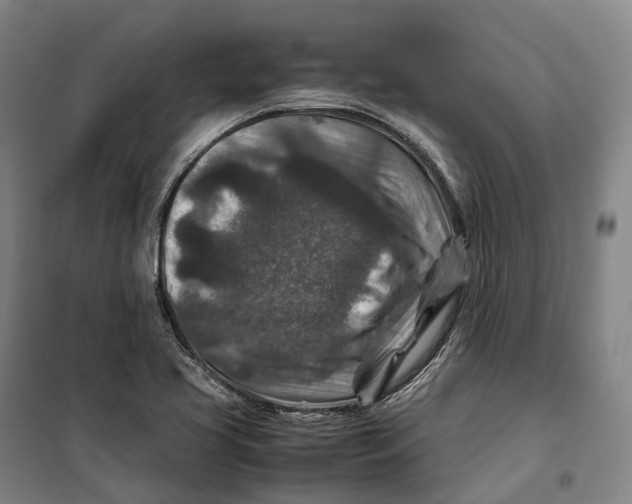 X0000099571413200806061552