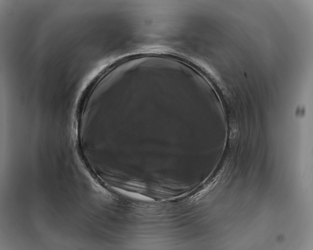 X0000099571414200806061552