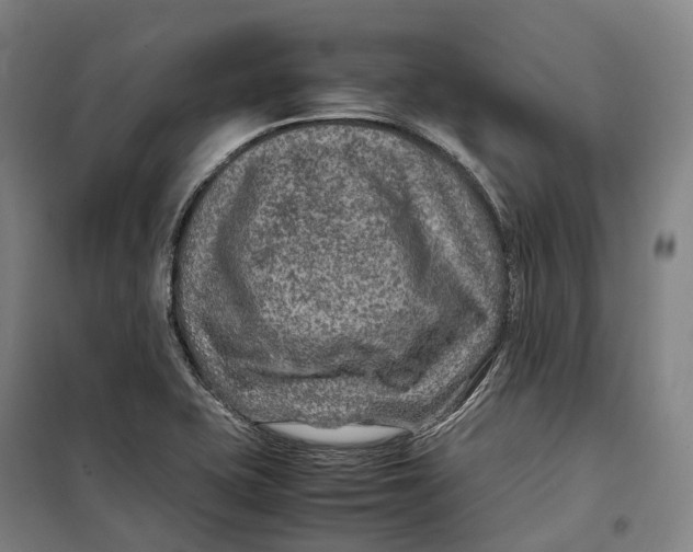 X0000099571415200806061552