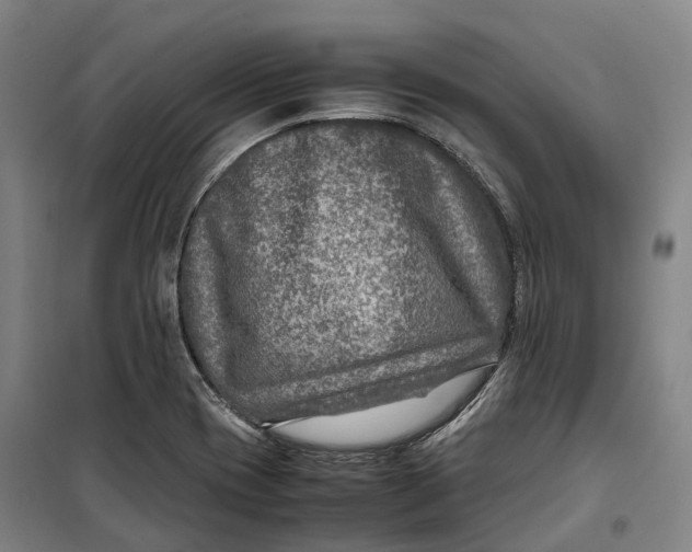 X0000099571417200806061552