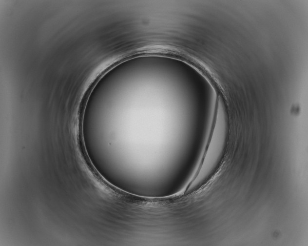 X0000099571418200806061552