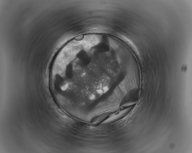 X0000099571419200806061552