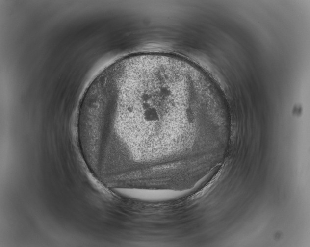 X0000099571421200806061552