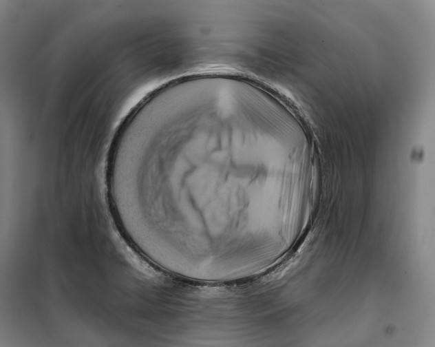 X0000099571422200806061552