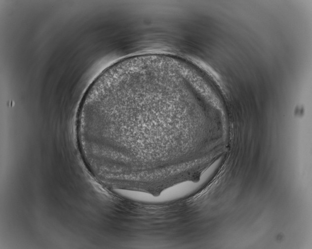 X0000099571423200806061552