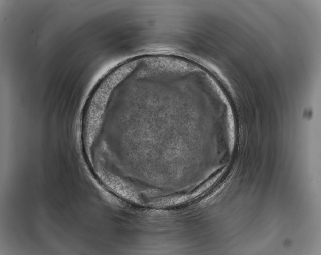 X0000099571424200806061552
