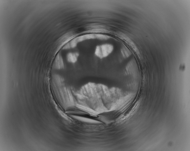 X0000099571425200806061552