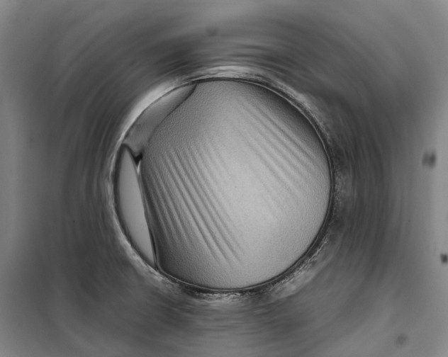 X0000099571426200806061552
