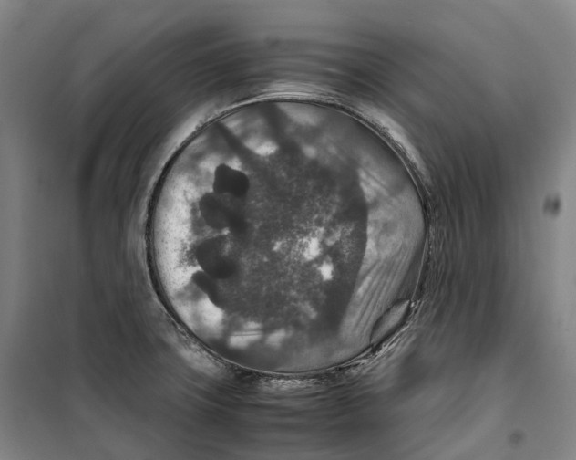 X0000099571427200806061552