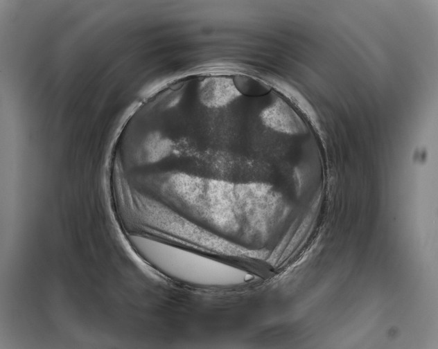 X0000099571429200806061552