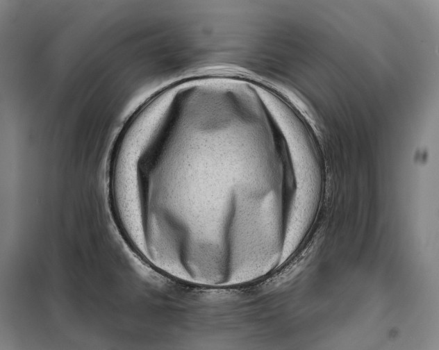 X0000099571430200806061552