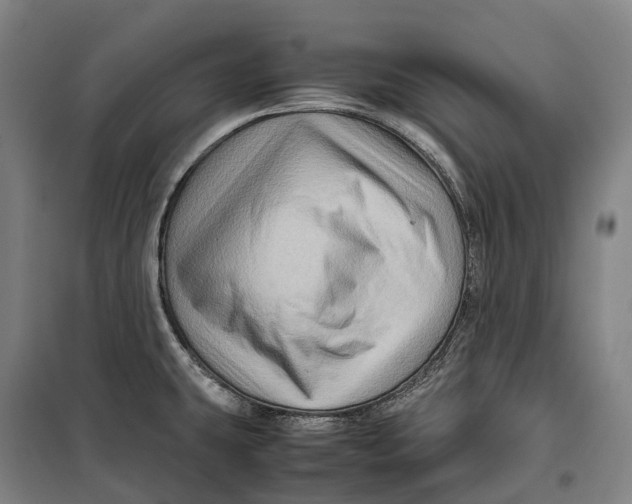 X0000099571431200806061552