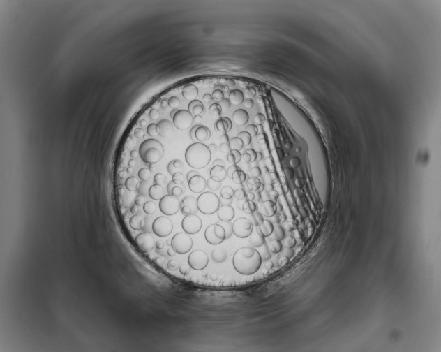 X0000099571432200806061552